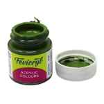 Fevicryl Acrylic Colours | 15ml Bottal