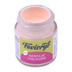 Fevicryl Acrylic Colours | 15ml Bottal